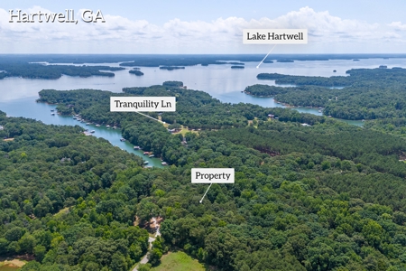 Beautiful 1.5 acre lot on Lake Hartwell with covered dock - image 4