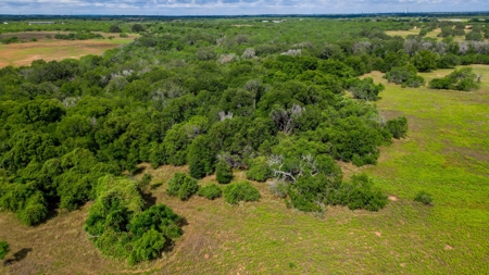 97Ac In Seguin, Texas Highway 123 Frontage!! - image 3