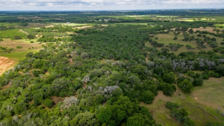 97Ac In Seguin, Texas Highway 123 Frontage!! - image 6