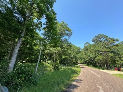 Hallsville Texas Land For Sale - image 1
