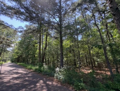 Hallsville Texas Land For Sale - image 10