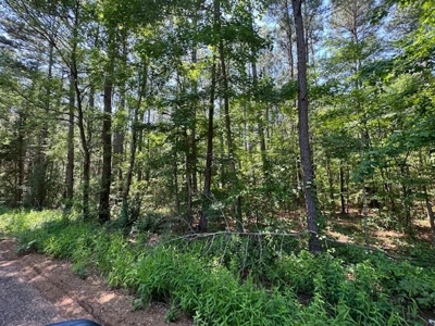 Hallsville Texas Land For Sale - image 8