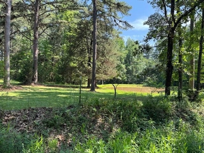 Hallsville Texas Land For Sale - image 7