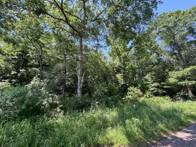 Hallsville Texas Land For Sale - image 2