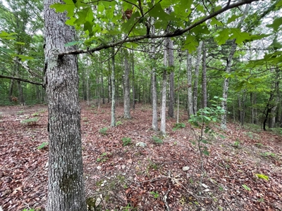 Land For Sale In Shannon County Missouri - image 5