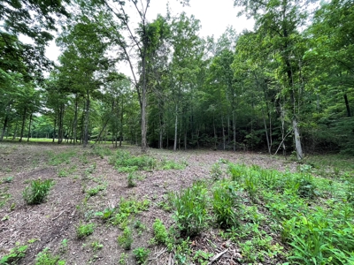 Land For Sale In Shannon County Missouri - image 1