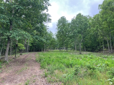 Land For Sale In Shannon County Missouri - image 3