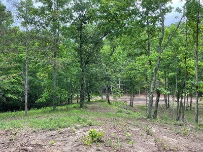 Land For Sale In Shannon County Missouri - image 4