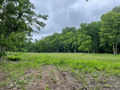 Land For Sale In Shannon County Missouri - image 2