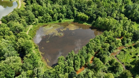 646.7-Acre Turn-Key Farm in Baskerville, VA - image 25