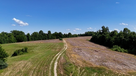 646.7-Acre Turn-Key Farm in Baskerville, VA - image 4