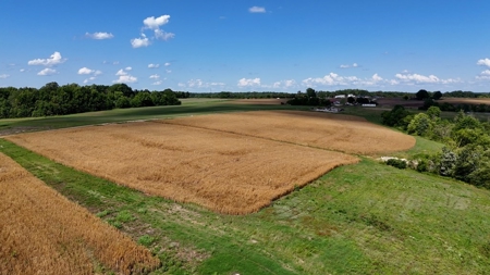 646.7-Acre Turn-Key Farm in Baskerville, VA - image 9