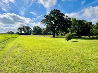 Mobile Home  & 2 Acres for sale Slocomb Alabama - image 12