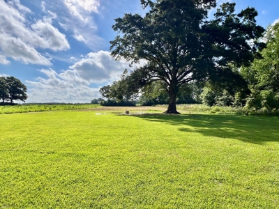 Mobile Home  & 2 Acres for sale Slocomb Alabama - image 13