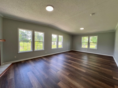 Mobile Home  & 2 Acres for sale Slocomb Alabama - image 42