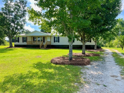 Mobile Home  & 2 Acres for sale Slocomb Alabama - image 41