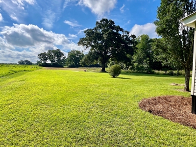 Mobile Home  & 2 Acres for sale Slocomb Alabama - image 30