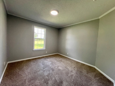 Mobile Home  & 2 Acres for sale Slocomb Alabama - image 33