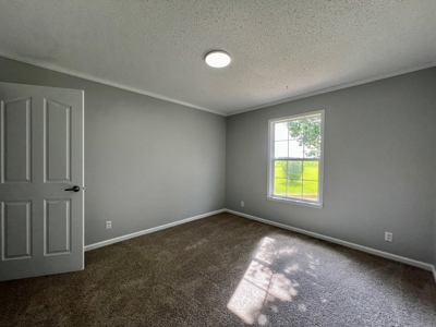 Mobile Home  & 2 Acres for sale Slocomb Alabama - image 32