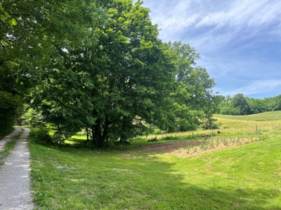 Affordable Weekend Getaway, Camper & Lot Barren River Lake - image 4