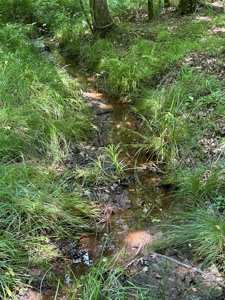 Unrestricted Land In Tn To Build Or As Hunting Land For Sale - image 16