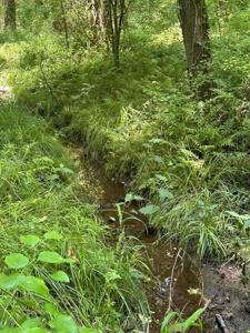 Unrestricted Land In Tn To Build Or As Hunting Land For Sale - image 15