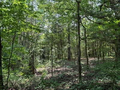 Unrestricted Land In Tn To Build Or As Hunting Land For Sale - image 4