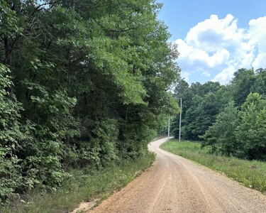 Unrestricted Land In Tn To Build Or As Hunting Land For Sale - image 7