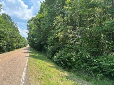 Unrestricted Land In Tn To Build Or As Hunting Land For Sale - image 1