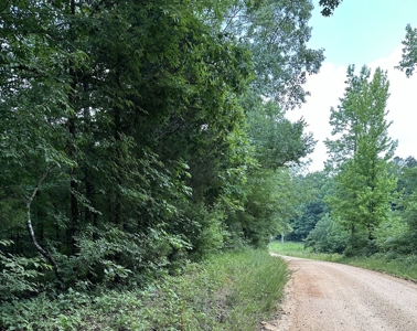 Unrestricted Land In Tn To Build Or As Hunting Land For Sale - image 6