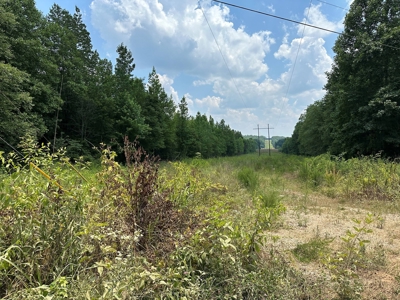 Unrestricted Land In Tn To Build Or As Hunting Land For Sale - image 3