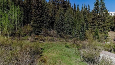Mountain View Lot for Sale in Alma, Colorado - image 2