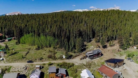 Mountain View Lot for Sale in Alma, Colorado - image 4