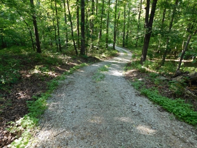 Large Country Home on 98+ Acres Ar Jasper, For Sale - image 37