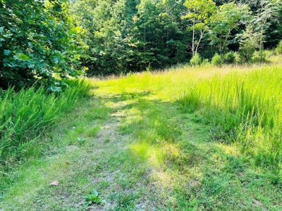 Land For Sale In Arkansas - image 10
