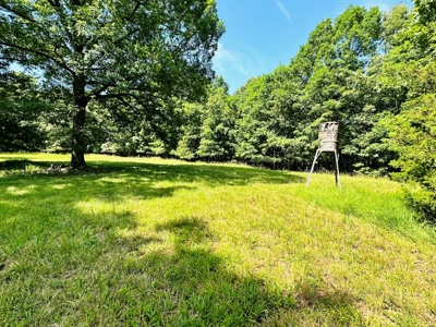 Land For Sale In Arkansas - image 17