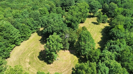 Land For Sale In Arkansas - image 4