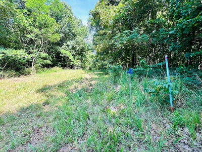 Land For Sale In Arkansas - image 23