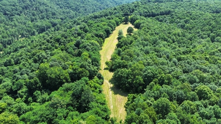 Land For Sale In Arkansas - image 6