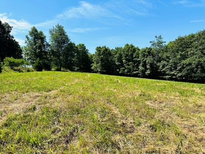 Land For Sale In Arkansas - image 28