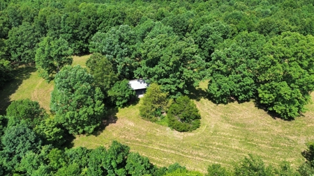 Land For Sale In Arkansas - image 5