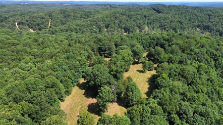 Land For Sale In Arkansas - image 3