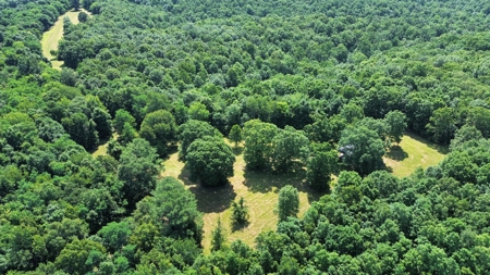 Land For Sale In Arkansas - image 1