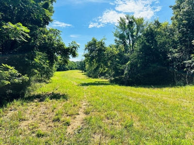 Land For Sale In Arkansas - image 13