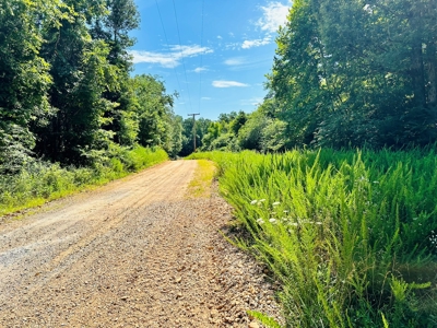Land For Sale In Arkansas - image 11