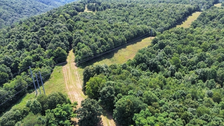 Land For Sale In Arkansas - image 7
