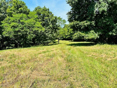 Land For Sale In Arkansas - image 29