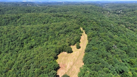 Land For Sale In Arkansas - image 8