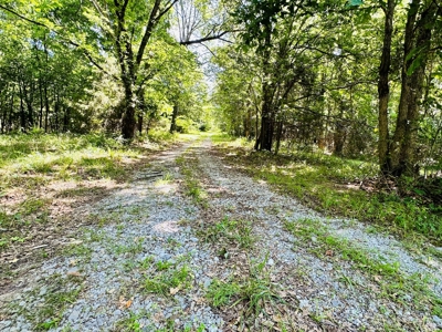 Land For Sale In Arkansas - image 26