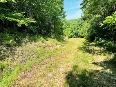 Land For Sale In Arkansas - image 12